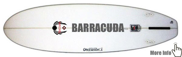 BARRACUDA